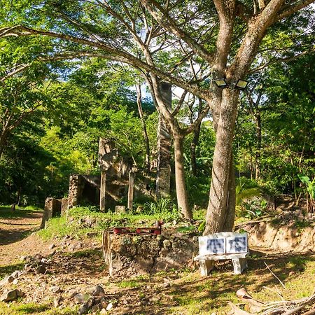 Canton Suisse Martinique Treehouse 빌라 외부 사진