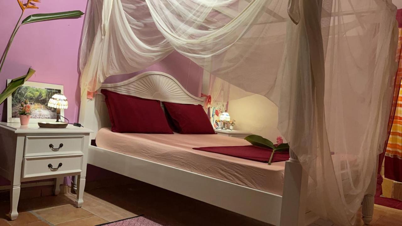 Canton Suisse Martinique Treehouse 빌라 외부 사진