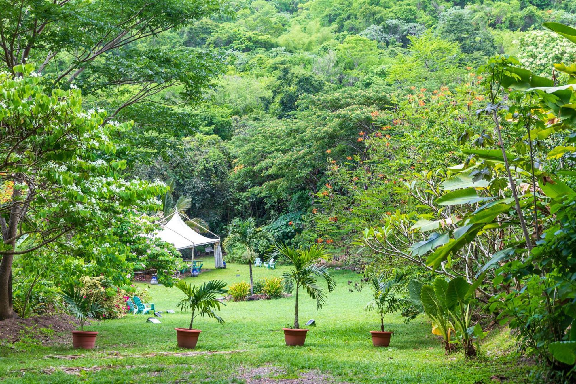 Canton Suisse Martinique Treehouse 빌라 외부 사진