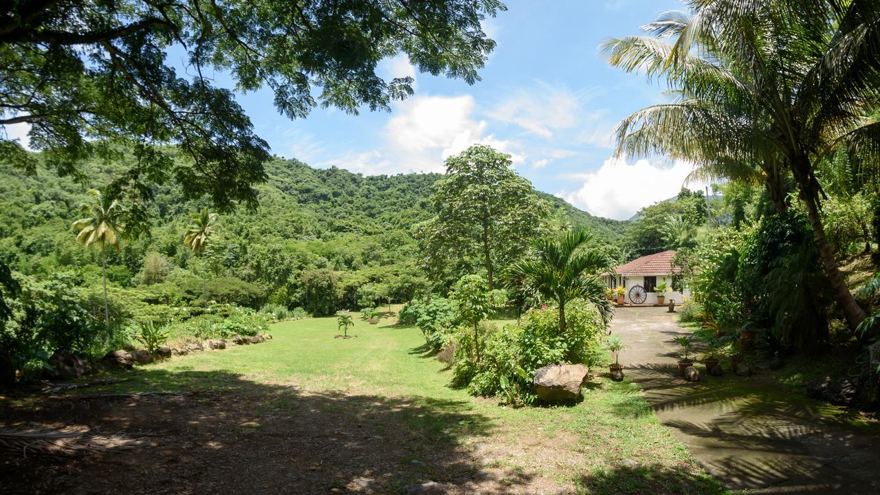 Canton Suisse Martinique Treehouse 빌라 외부 사진