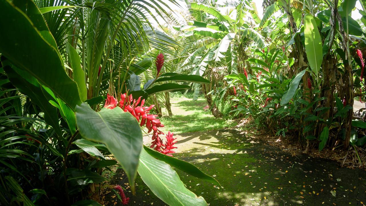 Canton Suisse Martinique Treehouse 빌라 외부 사진
