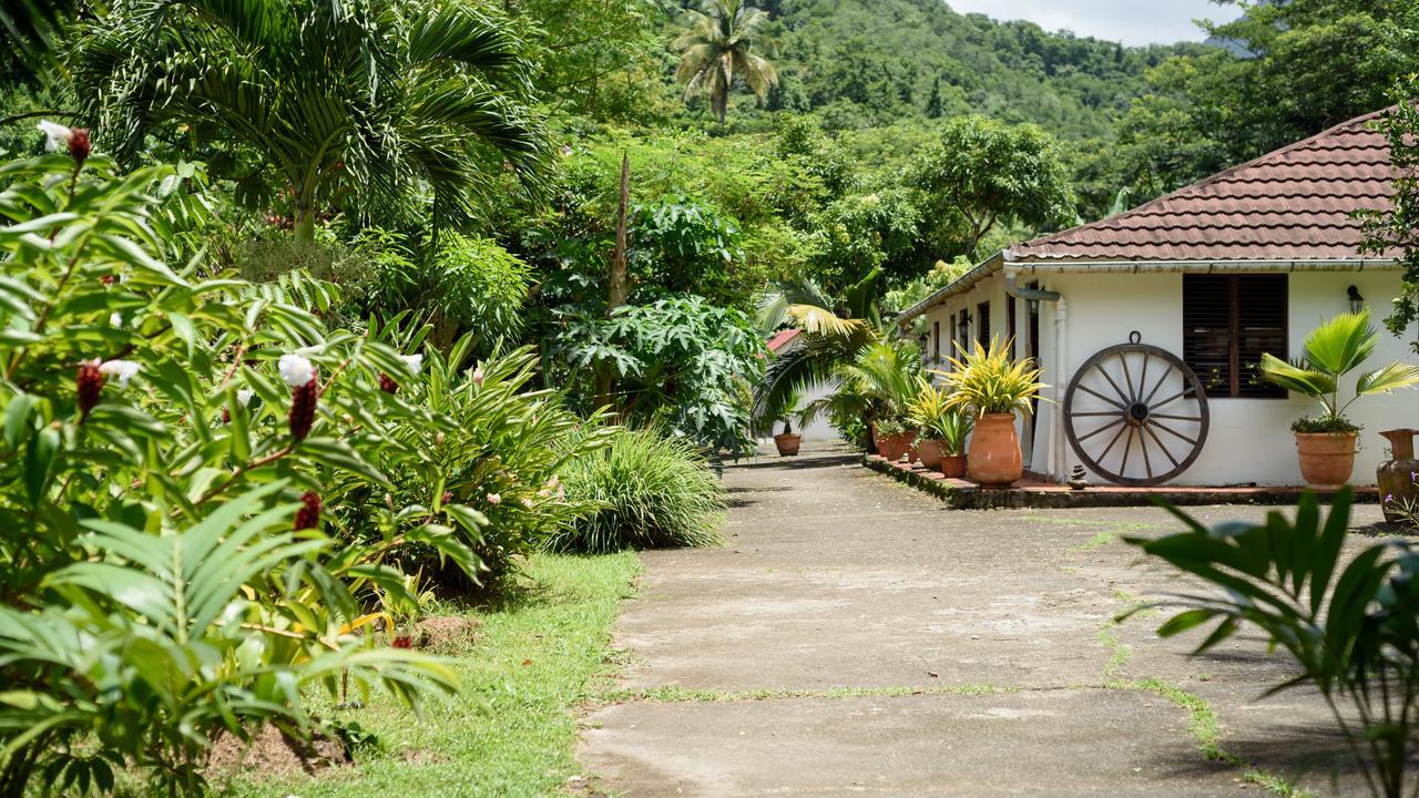 Canton Suisse Martinique Treehouse 빌라 외부 사진