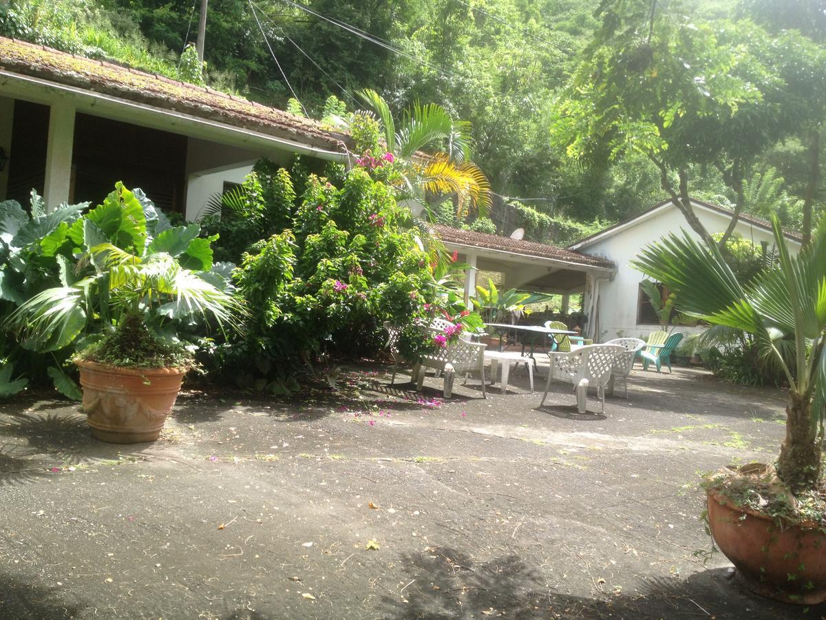 Canton Suisse Martinique Treehouse 빌라 외부 사진