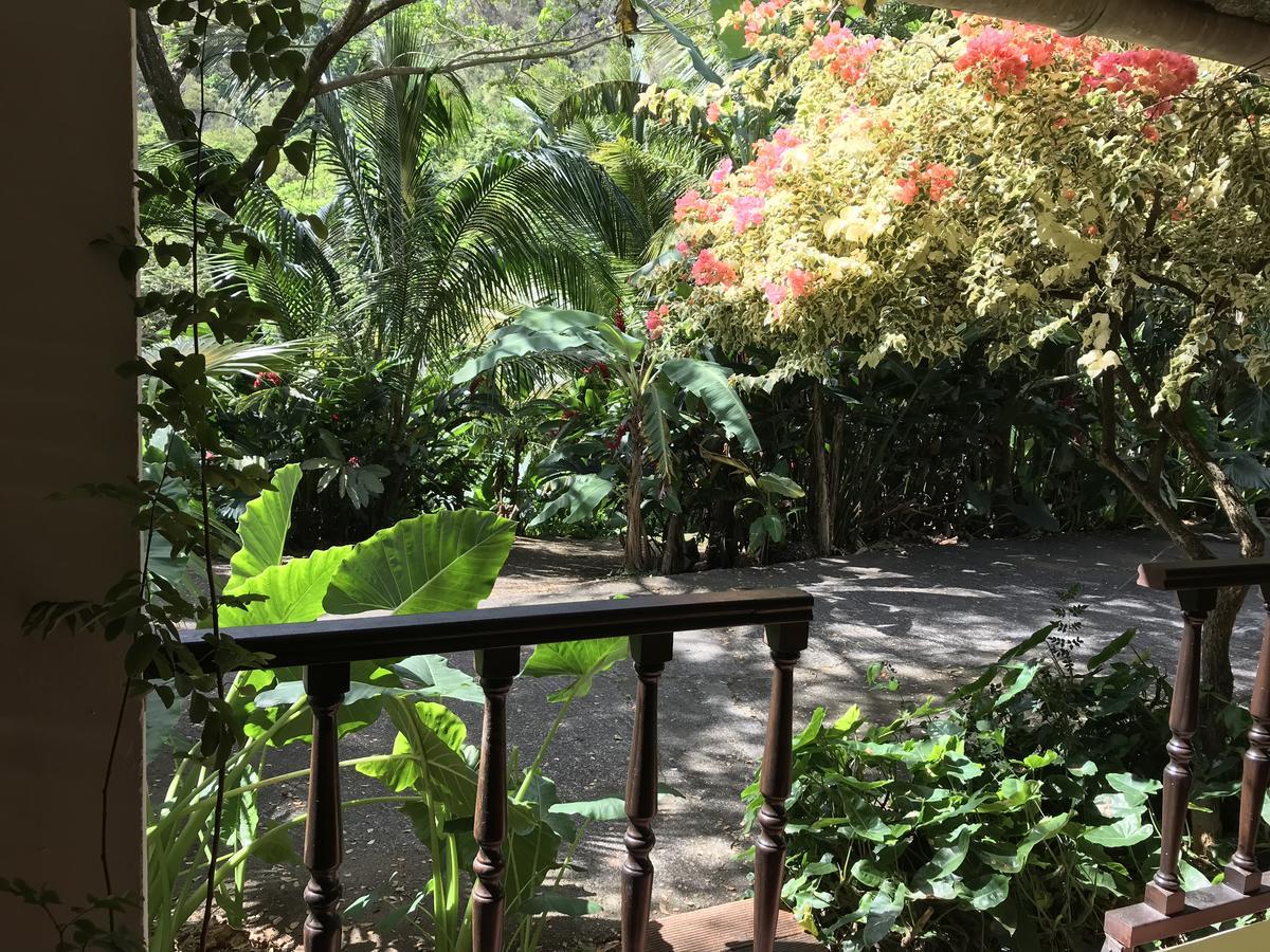 Canton Suisse Martinique Treehouse 빌라 외부 사진