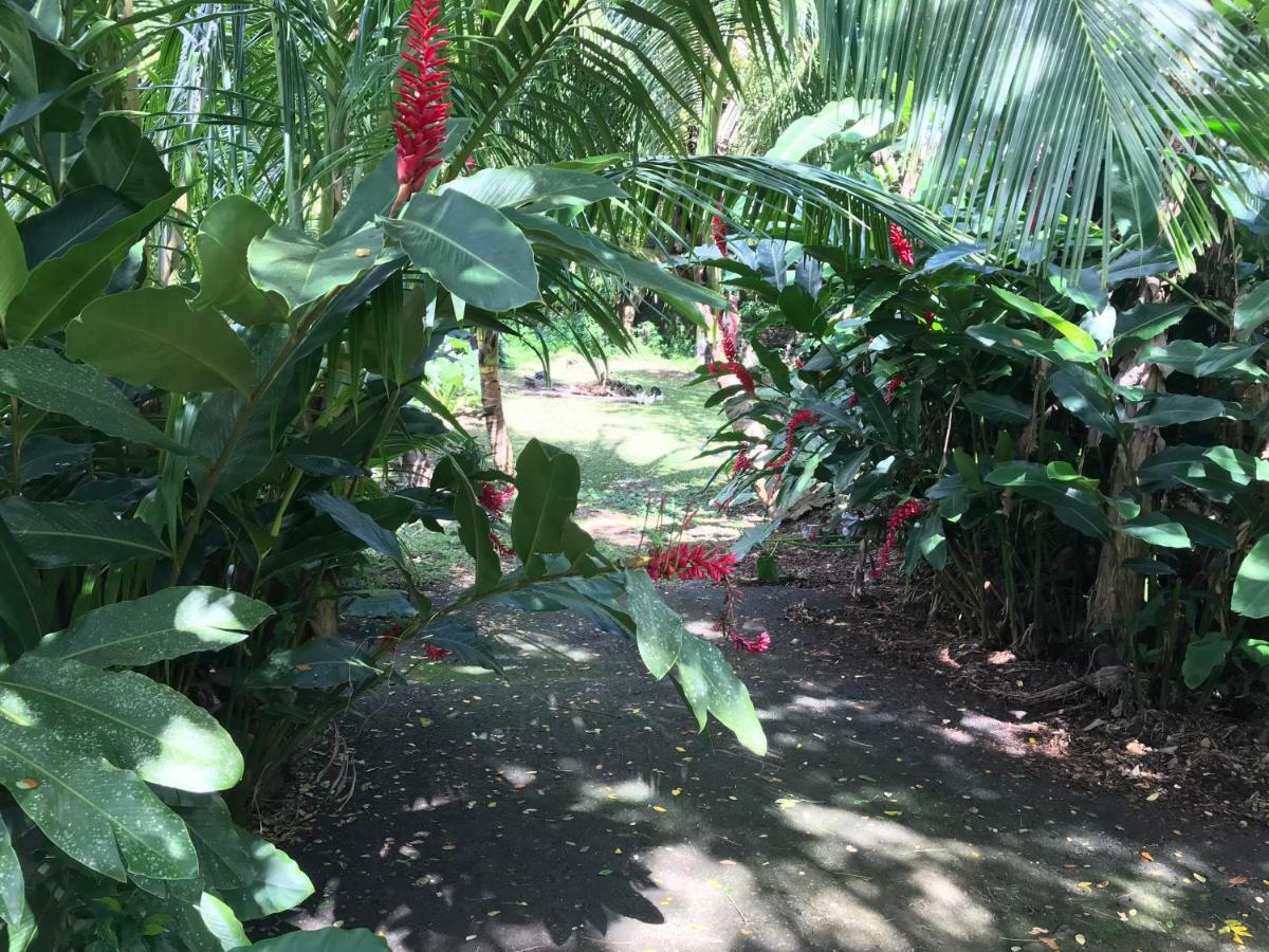 Canton Suisse Martinique Treehouse 빌라 외부 사진