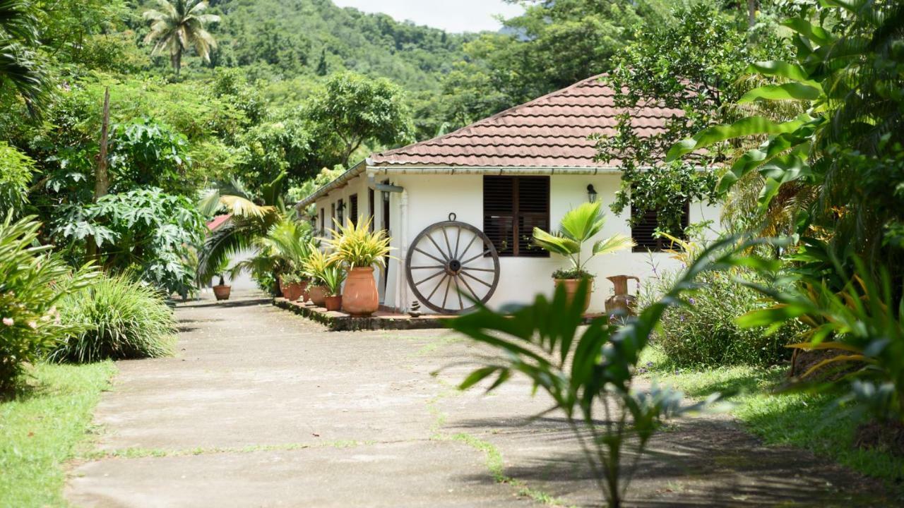 Canton Suisse Martinique Treehouse 빌라 외부 사진